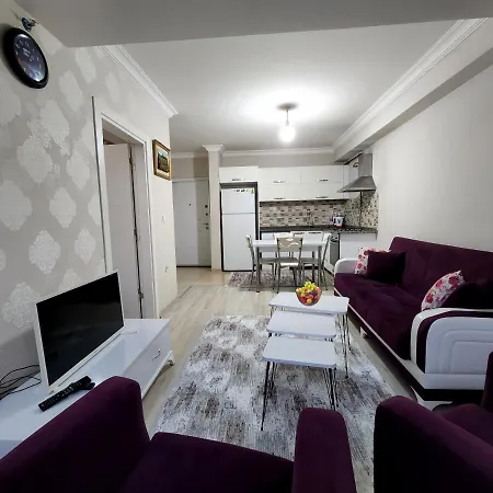 New Luxury 1plus1 With Free Parking Apartment *